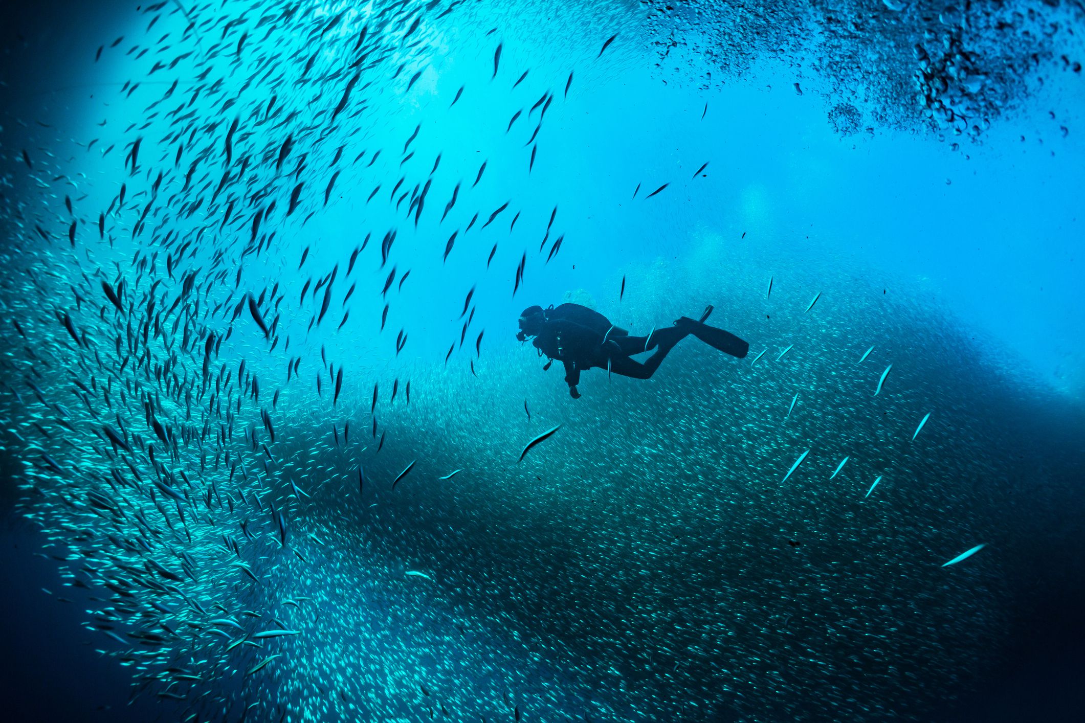 Г/костюм Aqualung "DIVE" 3.0 мм., жен. ML